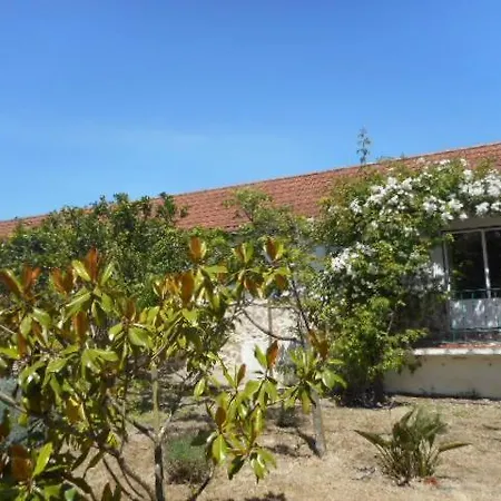 House Cesaredas